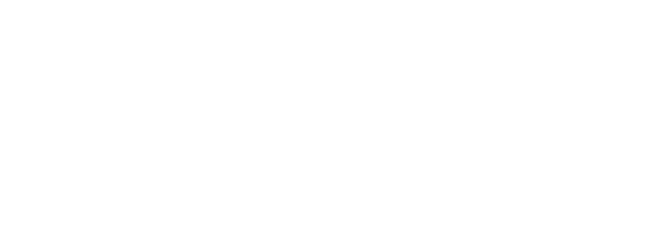 logo-an-viet